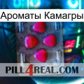 Ароматы Камагры 13